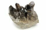 Stunning, Dark Smoky Quartz Crystal Cluster - Brazil #255393-2